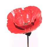 Decorative objects - Poppy Tutor - TERRE SAUVAGE