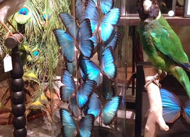 Objets de décoration - Sculpture  Papillons - DESIGN & NATURE
