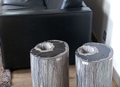 Office seating - Petrified wood stool - WILD-HERITAGE.COM