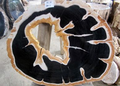 Unique pieces - Petrified wood furnitures - WILD-HERITAGE.COM