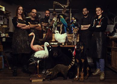 Decorative objects - Taxidermy & Wildlife Artist - DMW.NU: TAXIDERMY & INTERIOR