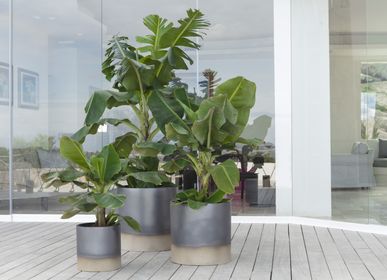 Vases - PALM BEACH - POT À PORTER