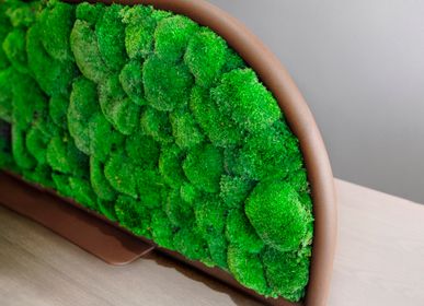 Décorations florales - Séparateur de bureau G-DESK-MOUSSE BOULE  - GREEN MOOD