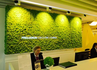 Aménagements pour bureau - Mûr Végétal Stabilisé - Lichen - GREEN MOOD