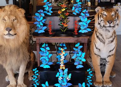 Unique pieces - Decorative object Interior design with the miracles of nature - DMW.NU: TAXIDERMY & INTERIOR