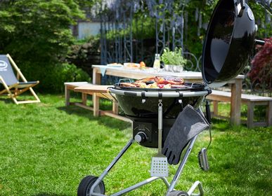 Barbecues - Charcoal and Gas grills - ROESLE
