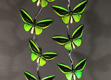 Objets de décoration - Cage Papillons Priamus, cabinet de curiosités - METAMORPHOSES