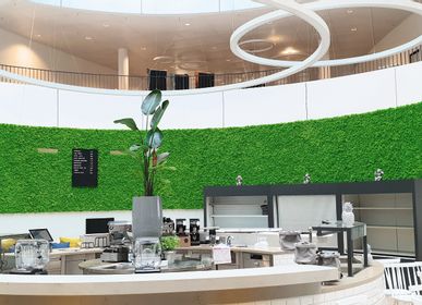 Floral decoration - Custom made lichen walls - GREEN MOOD