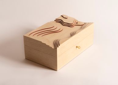 Unique pieces -  Topography - Cigar box - DRAGONFLY