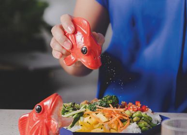 Objets de décoration - Salière et Poivrière / Fishes for Dishes - DONKEY PRODUCTS