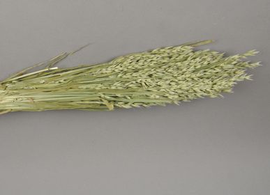 Floral decoration - Natural dried oats - LE COMPTOIR.COM