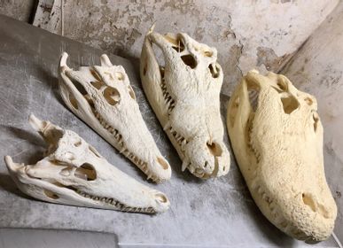 Objets de décoration - Crâne de crocodile - objet décoratif - DMW.NU: TAXIDERMY & INTERIOR