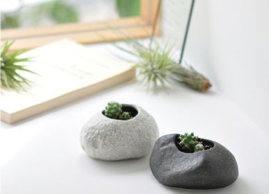 Cadeaux - Plants Rock - NOTED
