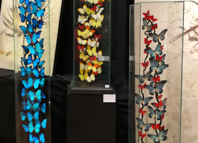 Objets de décoration - Cage de verre entomologique, décoration et curiosité d'intérieure - METAMORPHOSES