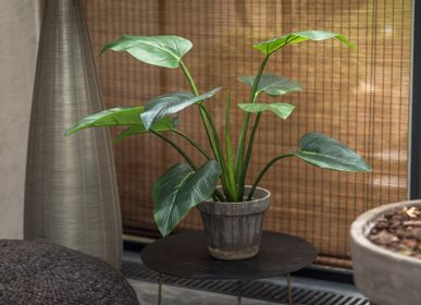 Décorations florales - Alocasia plant - Silk-ka Artificial flowers and plants for life! - SILK-KA