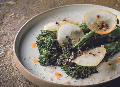 Everyday plates - Basic and Hemisphere collections - LES GUIMARDS