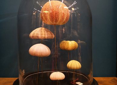 Objets de décoration - Globes et objets sur socle - AN ATOLL