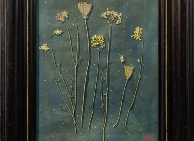 Customizable objects - Herbarium XXL Brc Painting - OFFICINA NATURALIS