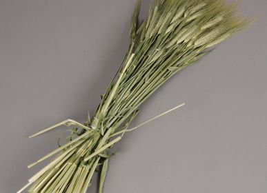 Hair accessories - Hodeum dried natural bearded wheat - LE COMPTOIR.COM