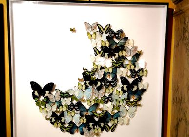 Objets de décoration - Cadre à papillons en forme de lune. - DESIGN & NATURE