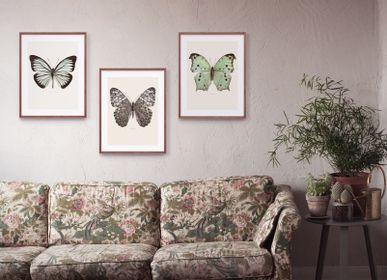 Art photos - Art prints of nature - LILJEBERGS