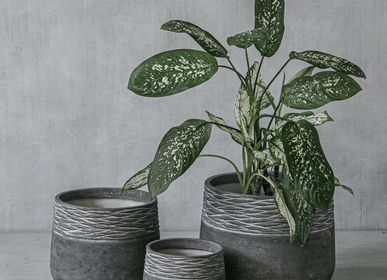 Flower pots - Levy Pots - NATURE'S LEGACY