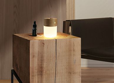Autres objets connectés  - Lampe Diffuseur Smart. - GINGKO