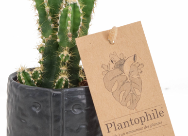 Cadeaux - TOP VENTE - Cactus mix dans un cache-pot visage noir  - PLANTOPHILE