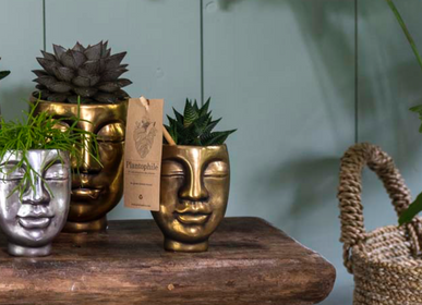 Cadeaux - Succulents mélange dan un face2face pot doré  - PLANTOPHILE