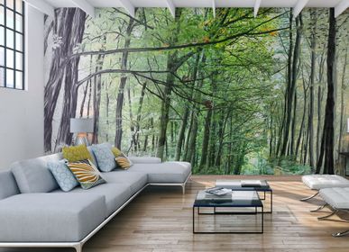 Wallpaper - Forest Widescreen Wallpaper  - INCREATION