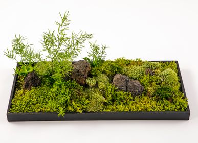 Design objects - Moss Garden (G-1) - FUJIGOKE