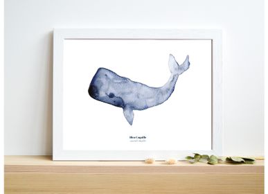 Affiches - Affichette A5 - Baleine - BLEU COQUILLE