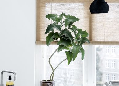 Curtains and window coverings - Brown plant roller blind - COLOR & CO