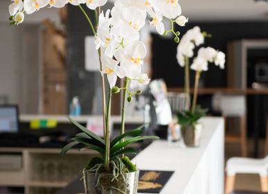 Floral decoration - Orchids - LOU DE CASTELLANE - artificial plants and flowers - LOU DE CASTELLANE