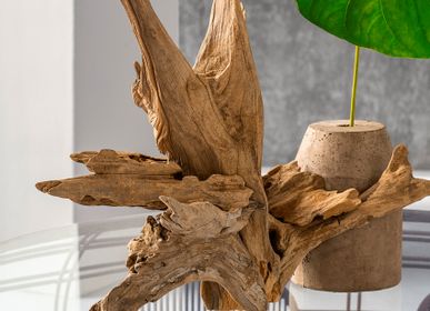 Unique pieces - CEBU HOMECRAFT Driftwood Planter  - KINDRED DESIGN COLLECTIVE HOME