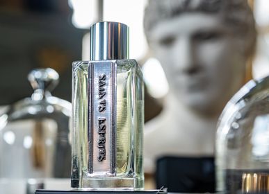 Home fragrances - THE VISIONARY - Room spray - SAINTS ESPRITS