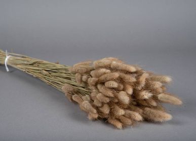 Floral decoration - Natural dried Lagurus height 50cm - LE COMPTOIR.COM