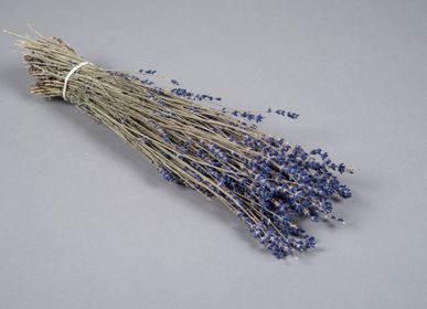 Décorations florales - Lavande séchée naturelle bleue H40cm - LE COMPTOIR.COM