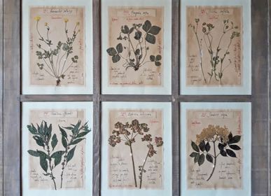 Other wall decoration - Herbarium Painting  - OFFICINA NATURALIS