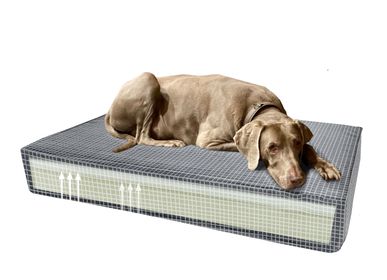 Pet accessories - ORTHOPEDIC DOG BED - MADISON FRIENDS