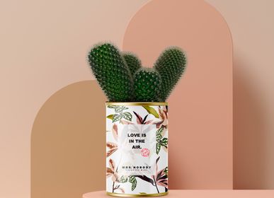 Gifts - MINIMAL / CACTUS LOVE IS IN THE AIR - MRS. NOBODY