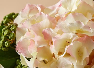 Floral decoration - Hortensia - LOU DE CASTELLANE - Fleurs artificielles plus vraies que nature  - LOU DE CASTELLANE