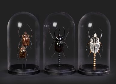 Decorative objects - Globes coléoptères, Cabinet de curiosité - METAMORPHOSES