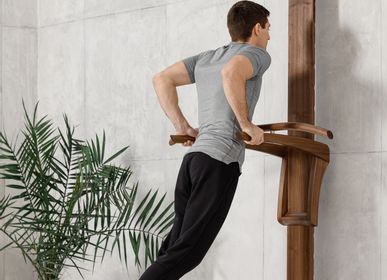 Fitness machines - Pull-up & Dip Station - MEISTRINE