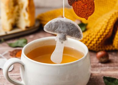 Café et thé  - Sachet champignon ( lot de 5 )  - TEA HERITAGE