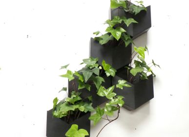 Other wall decoration - Hexa 2 wall planter in natural slate - LE TRÈFLE BLEU