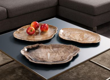 Decorative objects - PETRIFIED WOOD | Plates and bowls of petrified wood - XYLEIA NATURAL INTERIORS