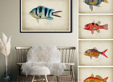 Affiches - Affiche FISH  - BLUE SHAKER