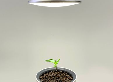 Ampoules pour éclairage intérieur - Lampe de culture Botanium 15 W - BOTANIUM