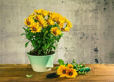 Design objects - Naso 2.0 bowl - DEDAL